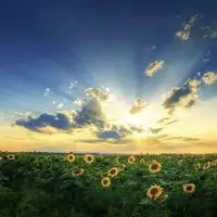 問不下，從蕭山到河南周口市項城市是多少錢一噸