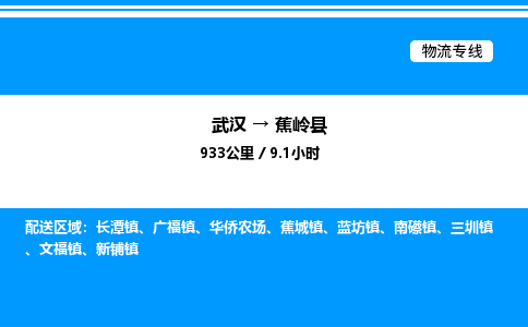 武漢到蕉嶺縣物流專(zhuān)線(xiàn)-武漢至蕉嶺縣貨運(yùn)公司